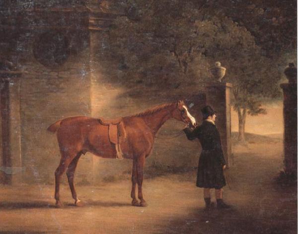 John Ferneley Mr Wombell's Hunter with a Groom in a Courtyard France oil painting art